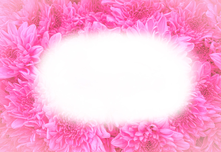 Close up pink flowers background with space use for texts displayの写真素材