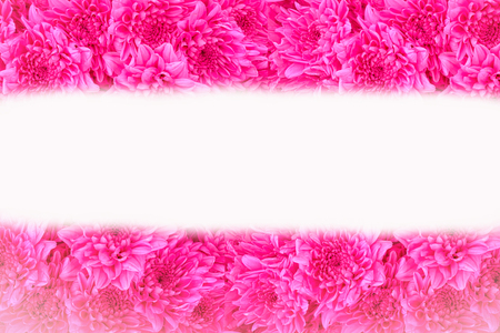 Close up pink flowers background with space use for texts displayの写真素材