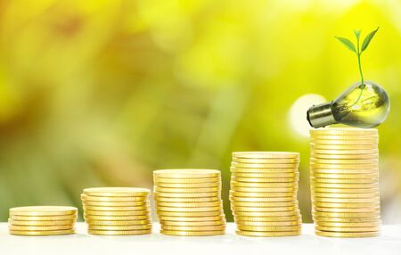 Collect of golden coins with fresh tree growth and bokeh backgroundの写真素材