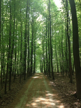 Fort de Soignes Uccle Brussels の素材