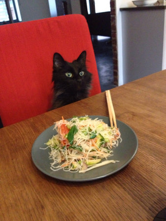 The black cat red seat and pad thai の素材