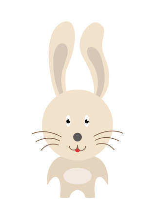 Happy bunny presenting with his hand on light backgroundの写真素材