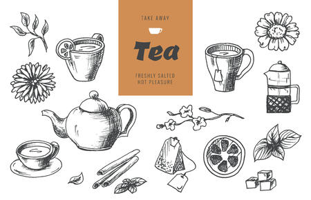 Tea collection elements in graphic style, hand-drawn vector illustrationのイラスト素材