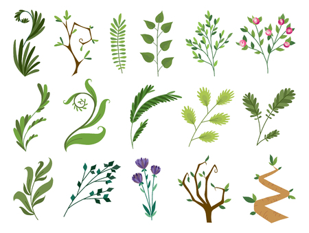 Vector designer elements set collection of green forest fern, tropical green eucalyptus greenery art foliage natural leaves herbs, rose, flowers in watercolor style. Illustration for designのイラスト素材
