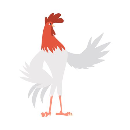 A vector illustration of cock domestic animal cartoon.のイラスト素材
