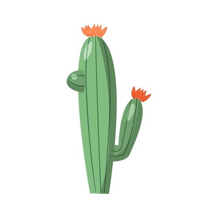 Cartoon cactus. Vector bright cacti. Colored, bright cacti flowers isolated on white backgroundのイラスト素材