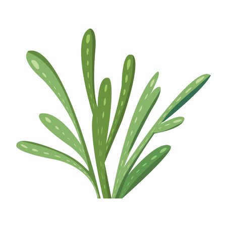 Cartoon cactus. Vector set of bright cacti. Colored, cacti design isolated on white backgroundのイラスト素材