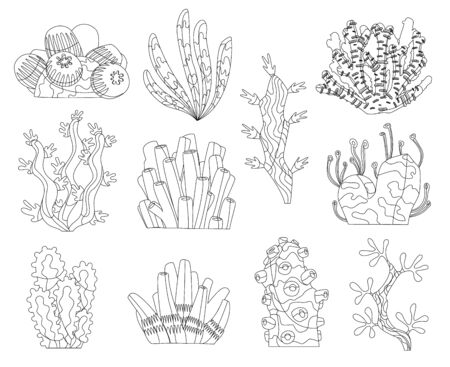 Marine algae, ocean seaweed and corals silhouettes. Underwater algae. Aquarium plants collection. Vector marine life. Isolated corals and algae. Underwater floraのイラスト素材