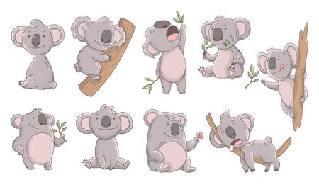 Collection cute koala in different poses. Hand drawn doodle of lazy animals. Cute cartoon bear characters.のイラスト素材