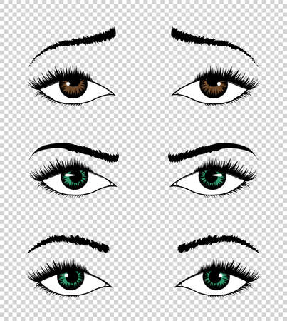 Collection of vector eyes. Hand drawn female luxury eye with perfectly shaped eyebrows and full eyelashes. The perfect look on transparent background. Health glamour designのイラスト素材