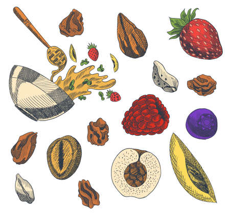 Granola engraved style illustration. Various berries, fruits and nuts. Homemade delicious set. Ingredients for making granola. Healthy breakfast. Hand drawn vector illustrationのイラスト素材