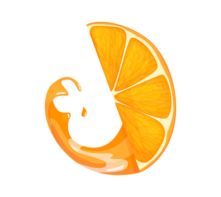Fresh ripe orange. Piece fruit without leaves. Juice advertising. Vector illustration in a flat styleのイラスト素材