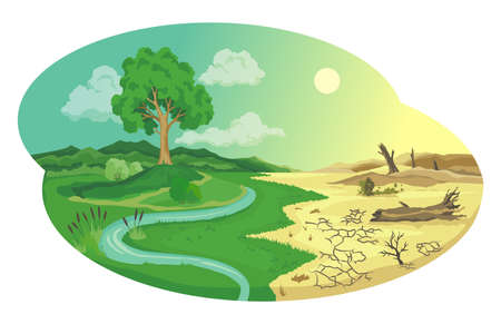 Climate change desertification illustration. Global environmental problems. Land degradation infographic. Soil erosion, desertification. Global warming conceptのイラスト素材