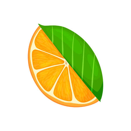 Fresh ripe orange. Piece fruit with leaves. Vector illustration in a flat styleのイラスト素材