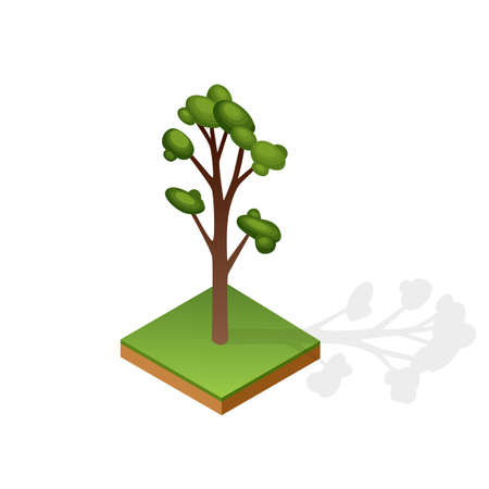 Set of various type wood isolated on white background. Green plant for isometric landscape public park or garden. Landscape constructor element. Vector icon for infographics or gameのイラスト素材
