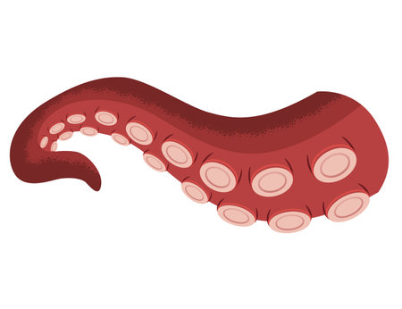 Octopus tentacle, underwater animal. Sea squid vector cartoon icon. Spooky marine monster arm on white backgroundのイラスト素材
