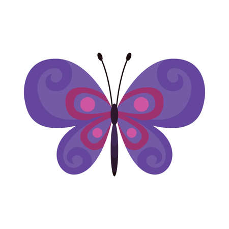 Exotic color butterfly. Hand drawn moth wings or insect. Cartoon tropical animal. Isolated vector iconのイラスト素材