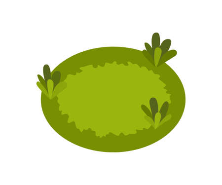Isometric 3d vector park element. Grass or flower bed. Green environment landscape design illustration. Isolated icon of nature elementのイラスト素材