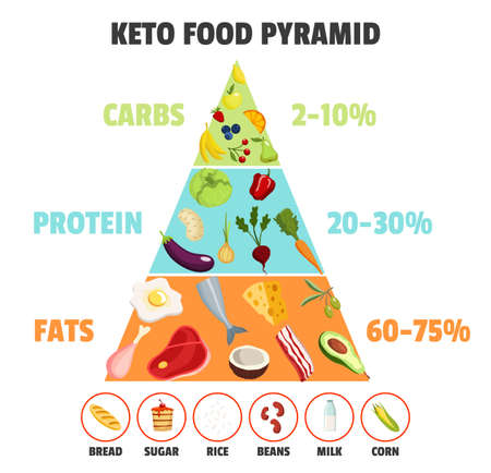 Keto diet concept. Food pyramid showing percentage of fats, carbs and protein. Healthy nutritional care, dieting. Different food typesのイラスト素材