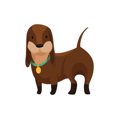 Dog dachshund. Cute funny character portrait. Short-legged pet with long body is standing on four. Adorable cartoon vector illustrationのイラスト素材