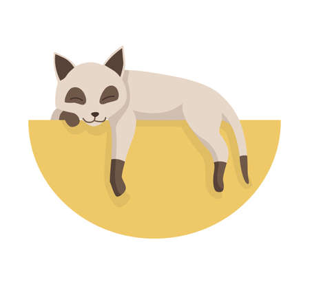 Cartoon cat character. Siamese colorpoint pet. Adorable domestic cat sleeping. Funny happy and playful animal. Cute two color kittenのイラスト素材