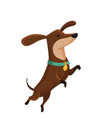 Dog dachshund. Cute funny character portrait. Short-legged pet with long body is jumping. Adorable cartoon vector illustrationのイラスト素材