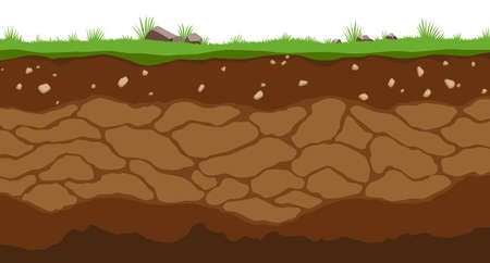 Vector of Surface horizons of soil - ID:1-179149252 - Royalty Free ...