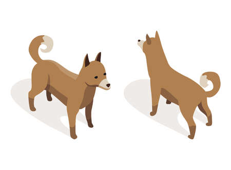 Farm animal isometric. Domestic animal in 3d flat back and front view. Cute game character of dog. Vector iconのイラスト素材
