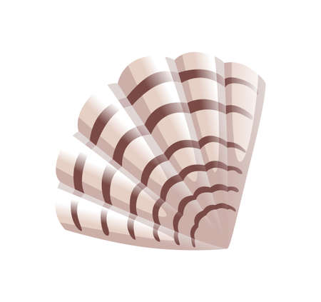 Sea shell. Colorful tropical shell underwater icon. Cartoon marine life. Seashell summer symbol...