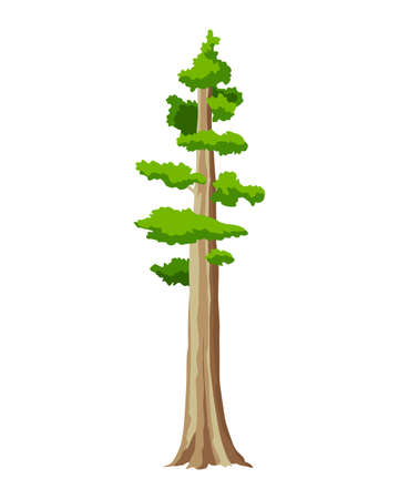 Tree. Eco concept of nature plant. Vector flat green tall pine tree icon isolated on white background. Evergreen coniferous tree. Garden botanical elementのイラスト素材