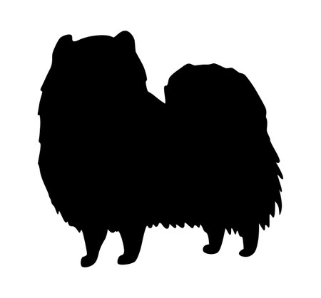 Dog silhouette, spitz breed. Side view pet stand icon in black color. Make used for dog show, competition, pet store, guide dog, veterinary, dog walking. Domestic animal isolated on white backgroundのイラスト素材