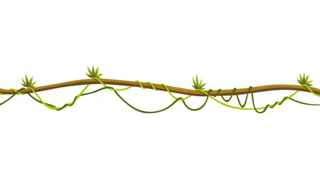 Lianas stem border. Rainforest green vine or twisted plant hanging on branch. Cartoon jungle creeper, leaves or moss on tree. Vector isolated game scenery element. Tropical nature plantのイラスト素材