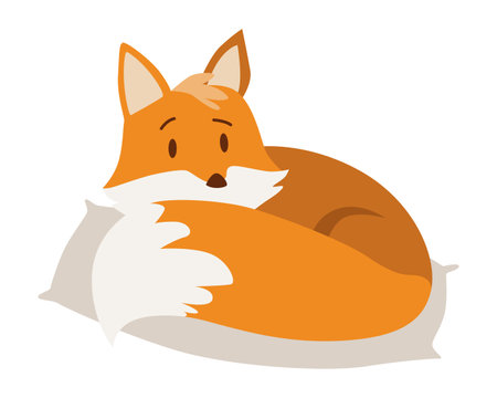 Fox lies on pillow inside their cozy home. Wild forest animal. Flat cartoon character. Vector Illustrationのイラスト素材