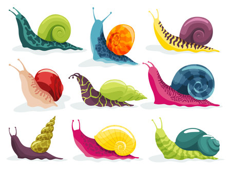 Snails crawling set. Collection snailfish colour shell. Colourful mollusk characters isolated in cartoon style. Multicolored slugs, gastropods, snail-shaped for kids design or speed snail-pacedのイラスト素材