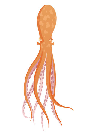 Octopus cartoon flat character with suckers on hands. Aquatic fauna icon. Animal illustration for zoo ad, nature concept. Cute color octopus, sea animal with tentaclesのイラスト素材