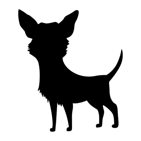 Dog silhouette, chihuahua breed. Side view pet stand icon in black color. Make used for dog show, competition, pet store, guide dog, dog walking. Domestic animal isolated on white backgroundのイラスト素材