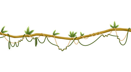 Lianas stem border. Rainforest green vine or twisted plant hanging on branch. Cartoon jungle creeper, leaves or moss on tree. Vector isolated game scenery element. Tropical nature plantのイラスト素材