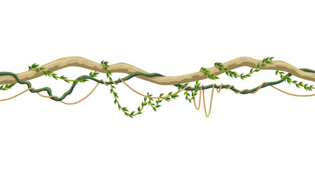 Lianas stem border. Rainforest green vine or twisted plant hanging on branch. Cartoon jungle creeper, leaves or moss on tree. Vector isolated game scenery element. Tropical nature plantのイラスト素材