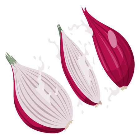 Cartoon sliced onion. Fresh farm market symbols. Vector illustration of organic farm fresh vegetablesのイラスト素材