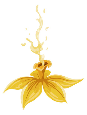 Vanilla flower. Realistic vector isolated design element. Nature spice. Yellow blossom with dropsのイラスト素材