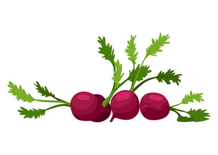 Assorted fresh vegetables. Farmers marker, grocery store, zero waste shop. Local market food, fresh and organic farm products. Delicious and healthy foodのイラスト素材