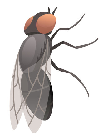 Housefly insect icon. Wildlife symbol in cartoon style. Scary insect. Graphic design element. Entomology closeup color vector illustration isolated on white backgroundのイラスト素材
