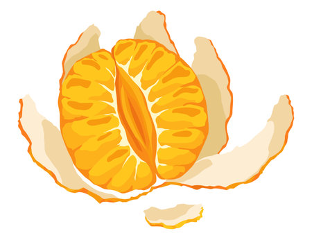 Mandarin icon. Cartoon isolated sweet citrus fruit. Fresh tropical tangerine. Organic vector illustration. Orange segmentsのイラスト素材