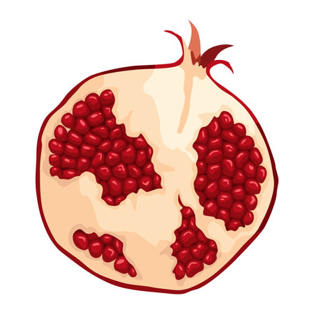 Pomegranate icon. Cartoon isolated summer garnet fruit with ruby seeds, cut slice. Advertising tropical ripe fruit. Vector illustration of healthy foodのイラスト素材