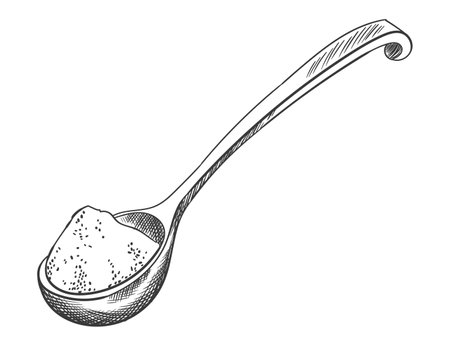 Sea salt sketch. Hand draw spice, vintage sea powder. Food ingredients to cook, isolated coloring vector illustrationのイラスト素材