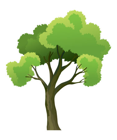 Green tree icon. Natural forest plant, ecology garden template. Beautiful green leaves isolated on white. Spring time tree. Flat vector illustrationのイラスト素材