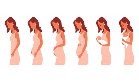 Pregnancy calendar concept. Woman goes from conception to childbirth. Stages of changes in female body during pregnancy. Cartoon flat vector set isolated on white backgroundのイラスト素材
