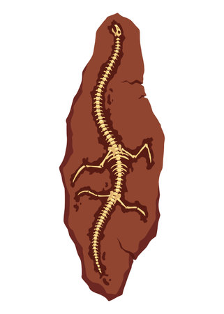 Dinosaur fossil skeleton bones, excavations of archeology isolated. Prehistoric reptile skeletons lying underground. Cartoon paleontological artifactのイラスト素材