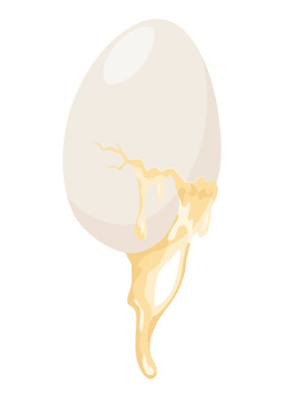 Cracked egg. Baking or cooking ingredient. Eggshell and protein. Healthy organic food. Diet with raw and broken product. Vector cartoon foodのイラスト素材