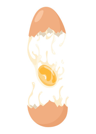 Cracked egg with yolk. Baking or cooking ingredient. Eggshell and protein. Healthy organic food. Diet with raw and broken product. Vector cartoon foodのイラスト素材